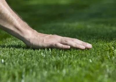 Christopher-Landscaping-1