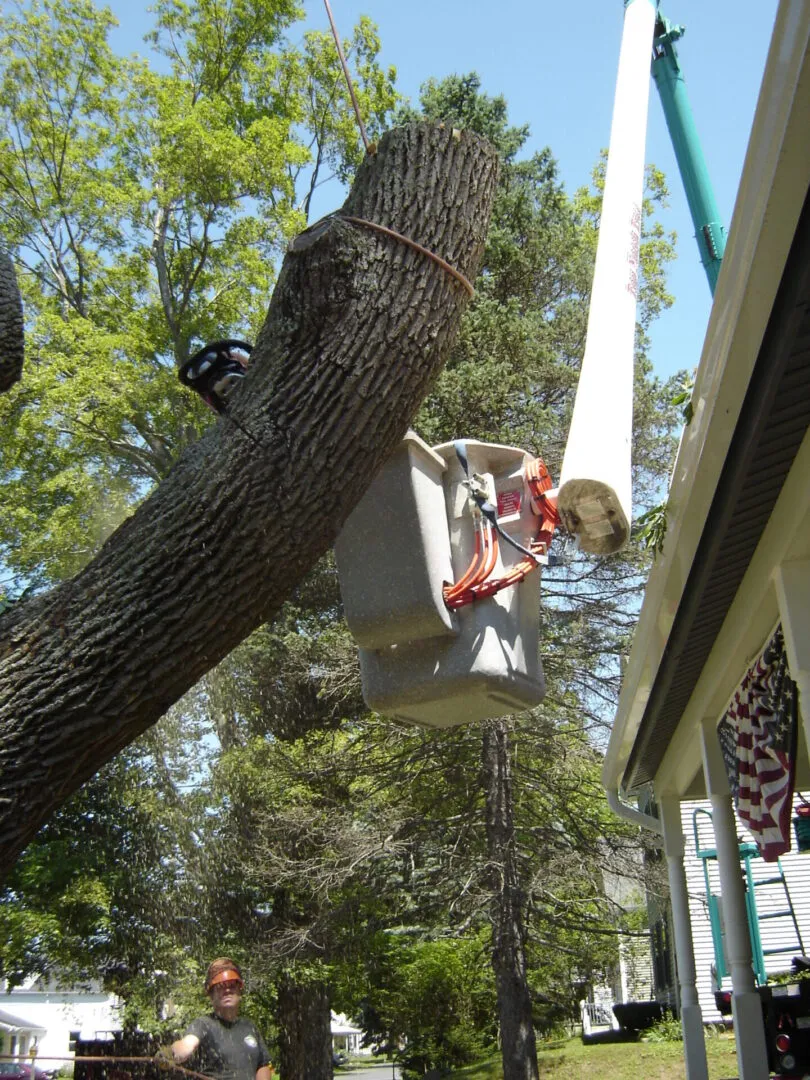 work photo from topnotchtreework.com