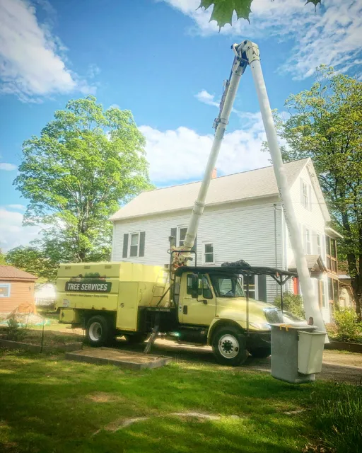 Petrichor Tree Service work photo