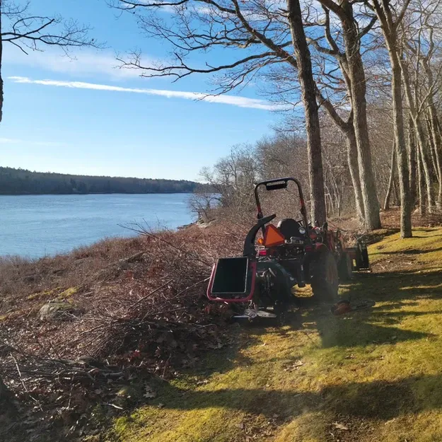 work photo from foresttoshore.com