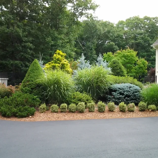 Burgess Landscape Design Construction & Tree Service researched project photo
