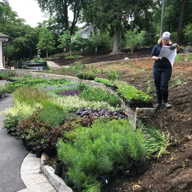 Anne Stewart Landscape Design researched project photo