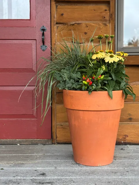 Locale Gardening Company work photo