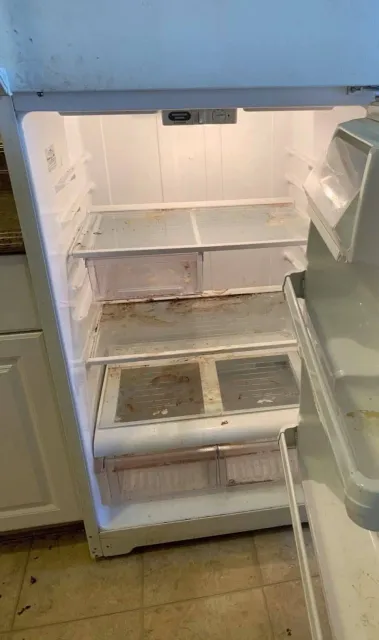 Refrigerator interior before deep cleaning