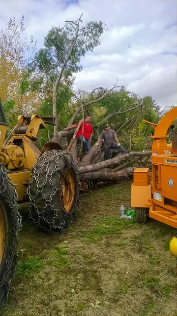 work photo from jwlandclearing.com