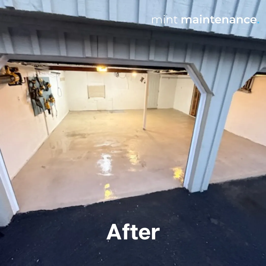 Mint Maintenance
