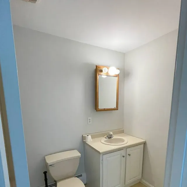 MJs Painting professional painted the bathroom