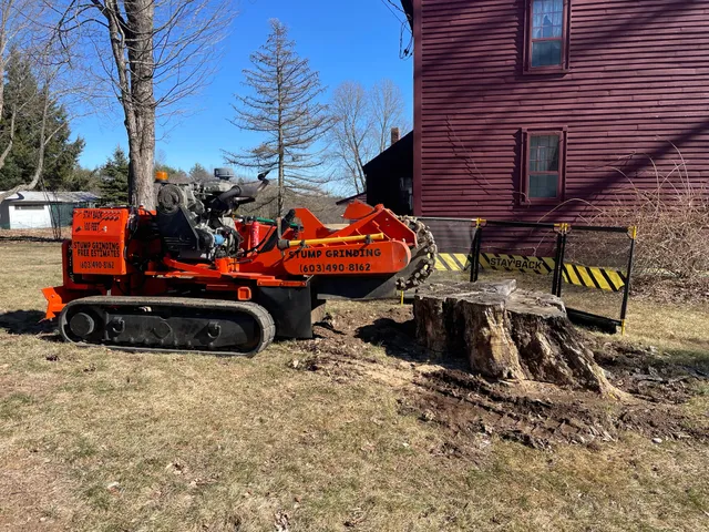McHugh's Stump Grinding, LLC work photo
