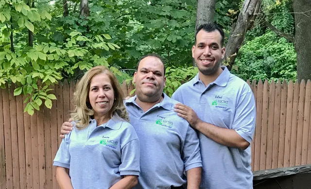 Lucia's Green Cleaning work photo