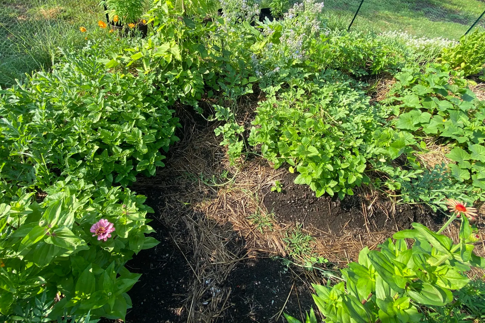 work photo from wildishgarden.co