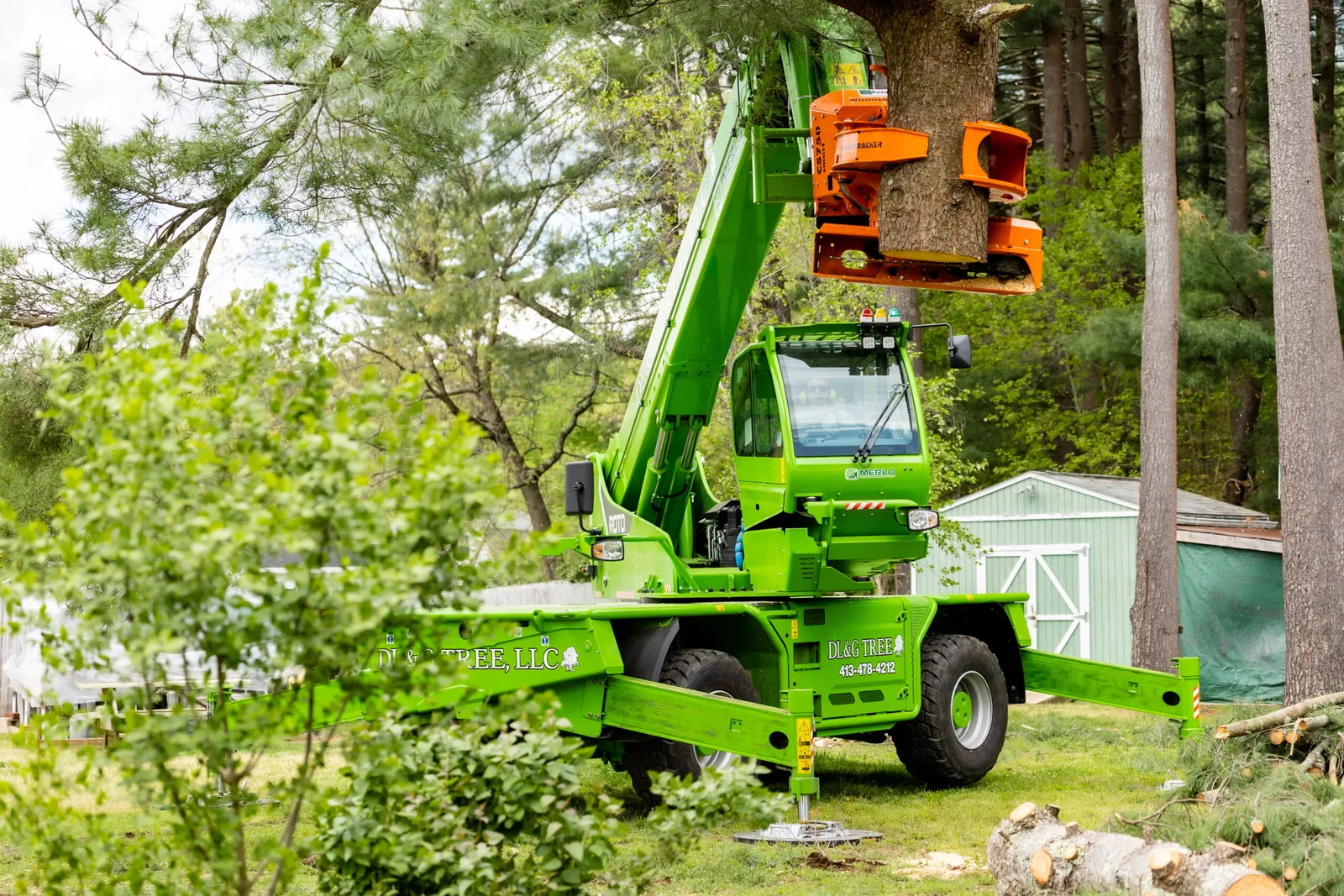 work photo from dlandgtree.com