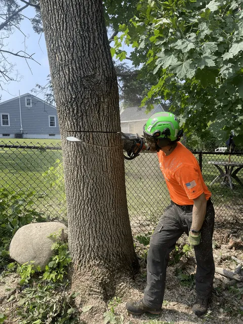 work photo from twtreecare.com