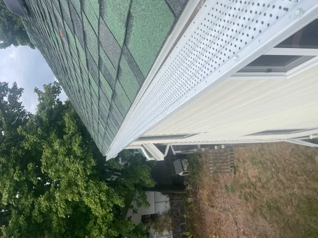 Close-up of a green shingled roof with a gutter guard, adjacent to a beige siding wall, and a view of trees and ground below.