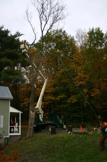 work photo from gallaghertreeandlandscape.com