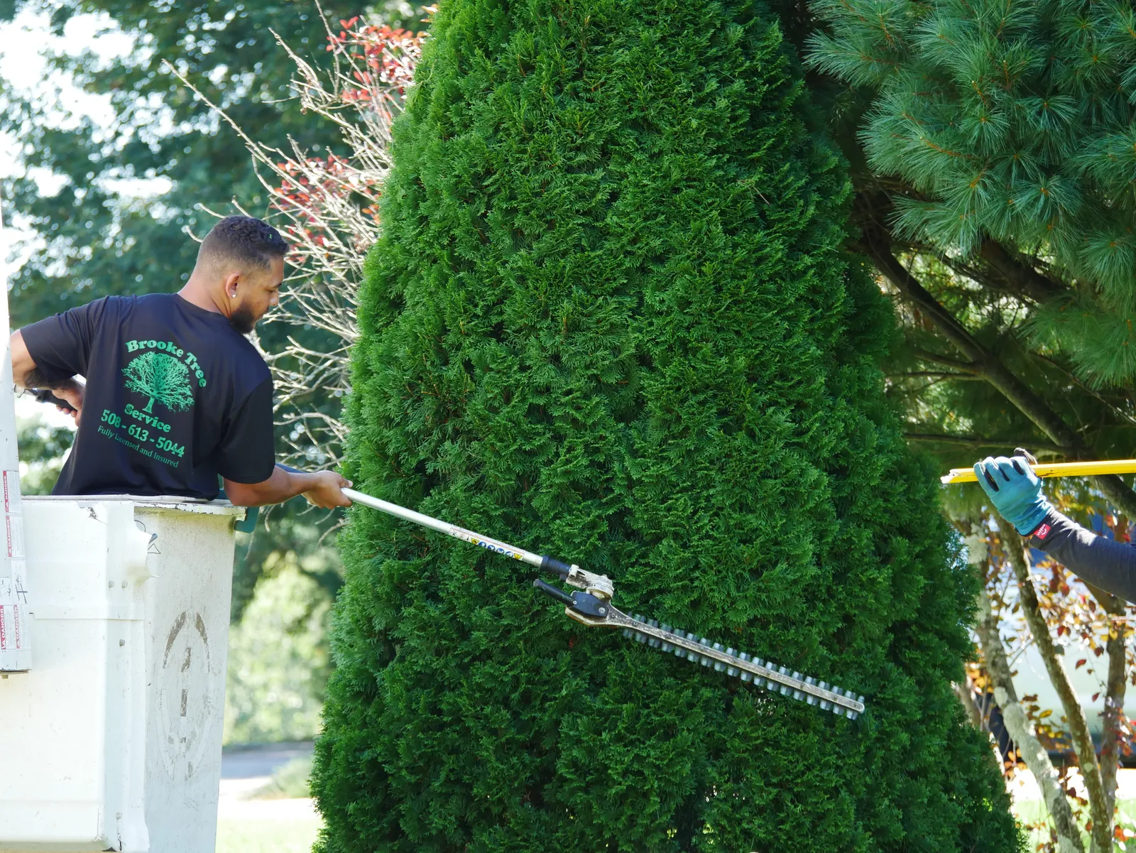 work photo from Google listing