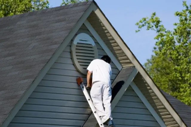 Silva Painting work photo