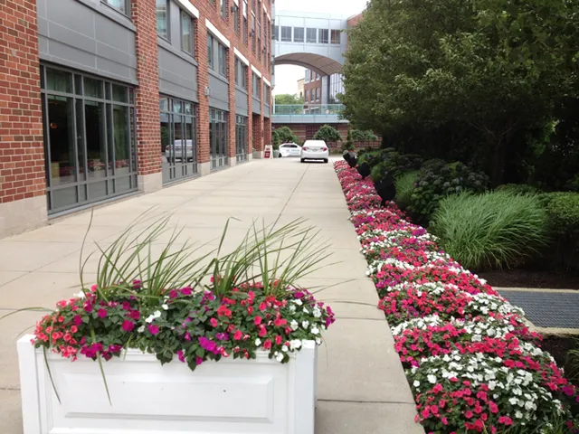 Eaton Horticultural Landscaping researched project photo