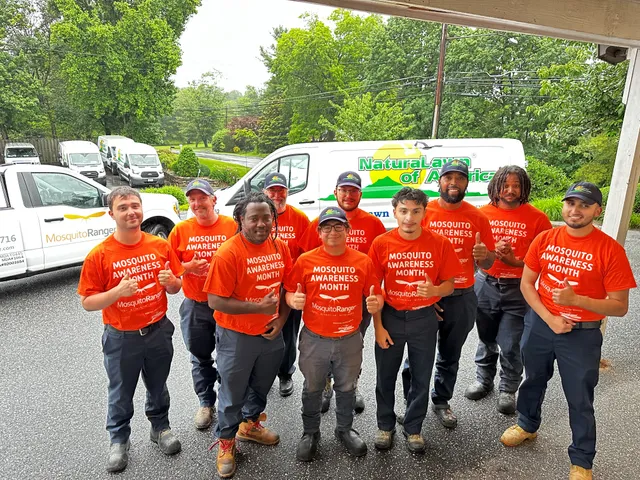 Mosquito Ranger work photo