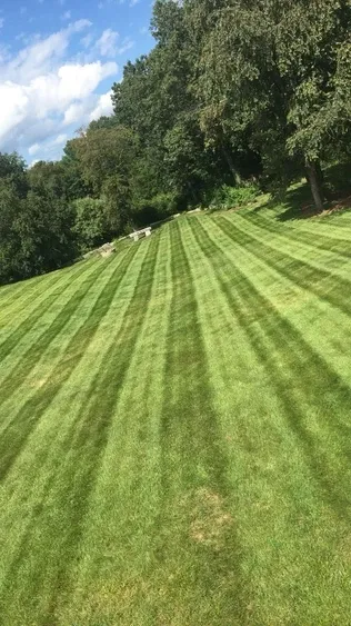 work photo from trevorslandscaping.net