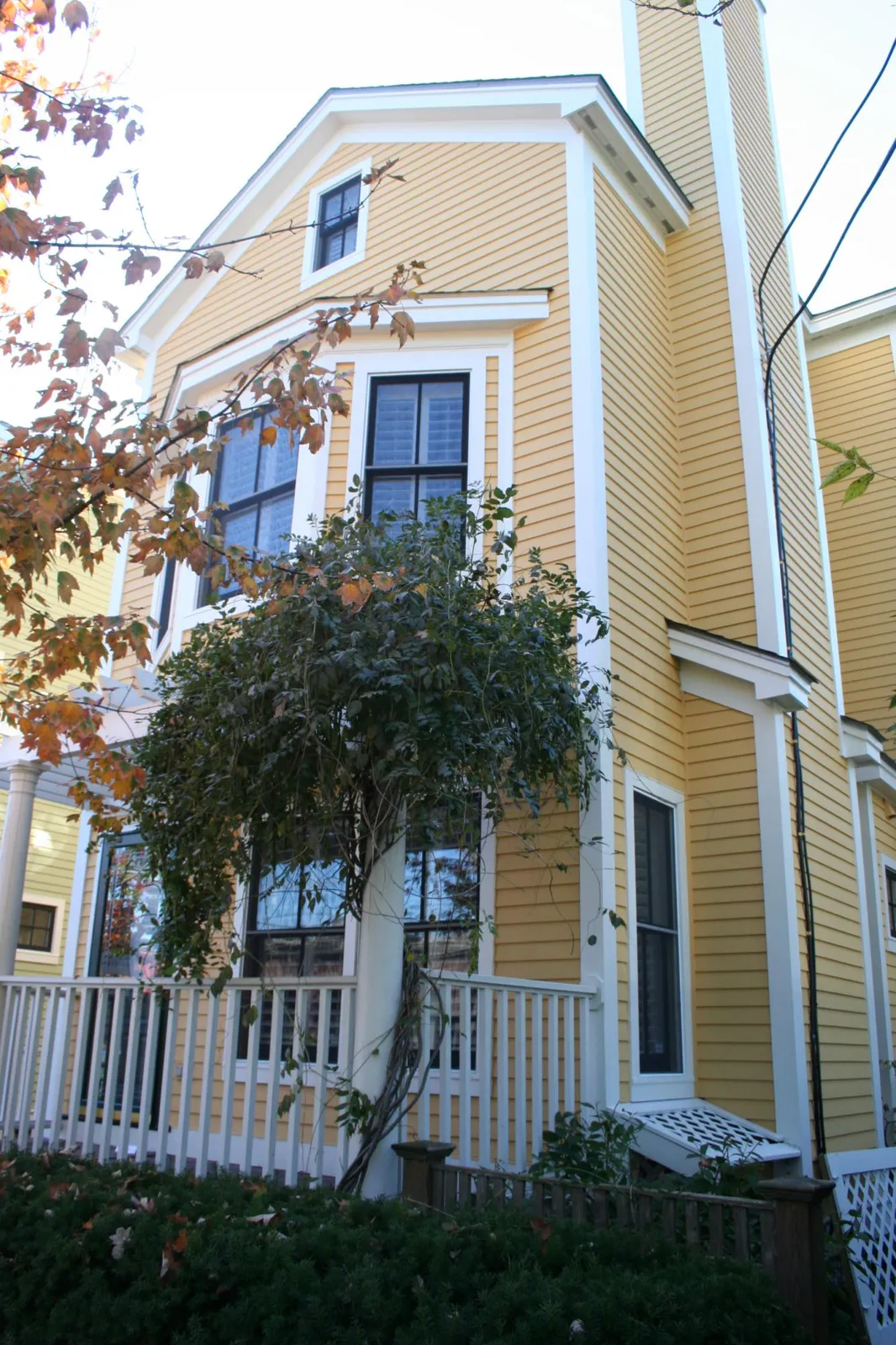 Exterior repaint, yellow clapboard with white trim