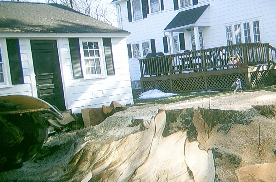 Ed's Stump Grinding researched project photo