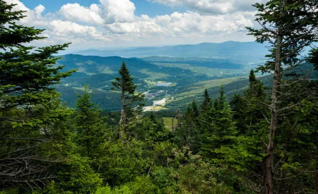 stowe-vt.jpg