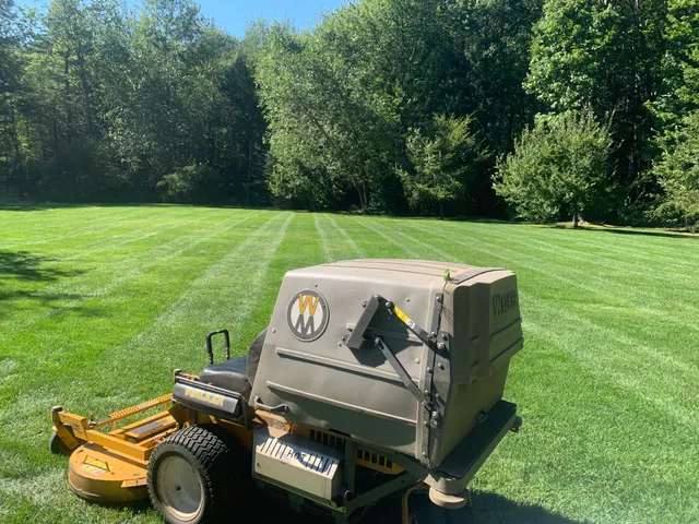 In The Weeds Turf Care work photo
