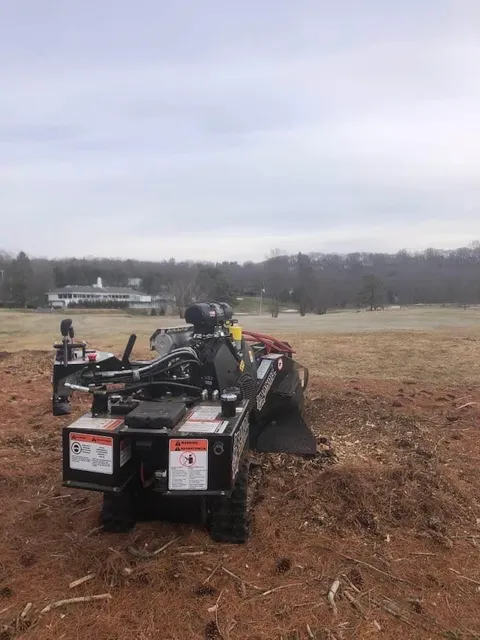 McGuire & Son Stump Removal work photo