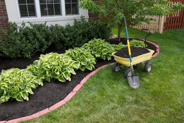 Landscape Maintenance