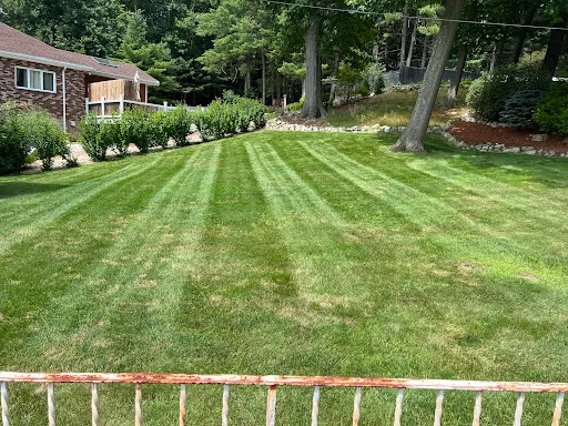 Review photo by Antonio’s landscaping