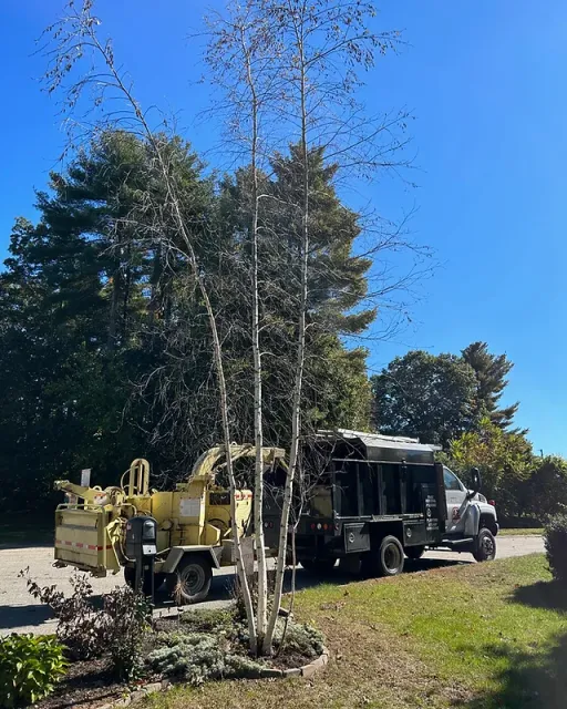 A to Z Tree Service researched project photo