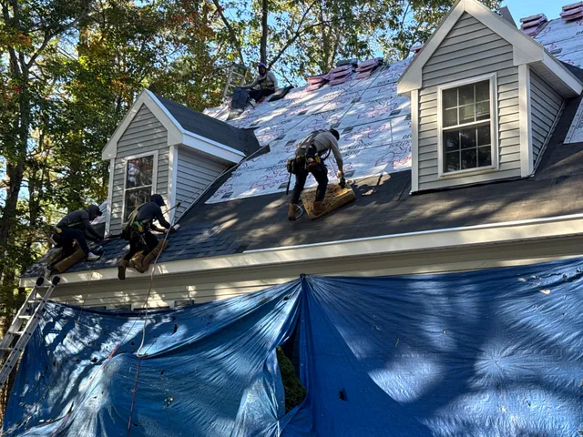 Small Dog Roofing work photo