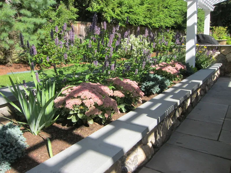 Belmont Landscape & Tree researched project photo