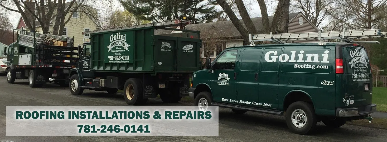 Golini Roofing