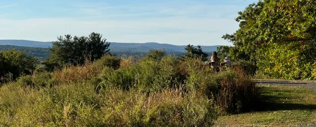 MT. TOM NORTH TRAILHEAD PARK