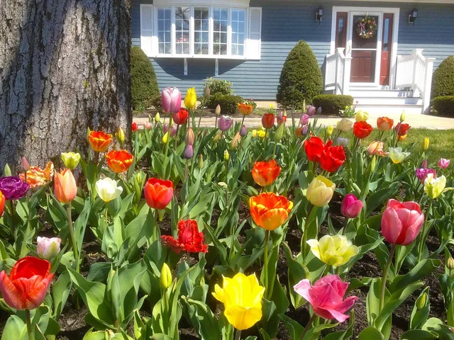 Ramos Landscaping Inc work photo