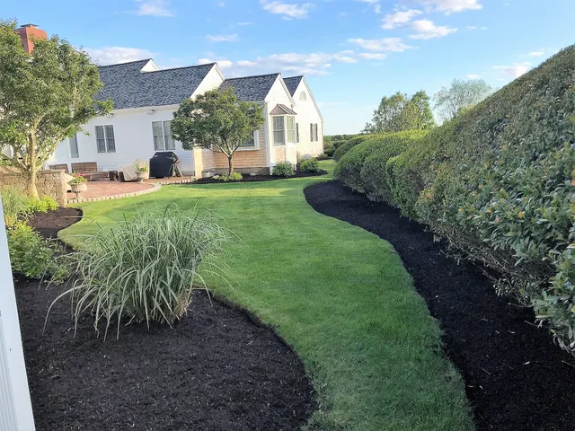 Cactus Flower Landscaping work photo
