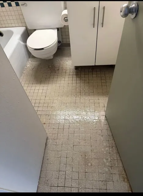Bathroom tile floor dull and dirty before cleaning