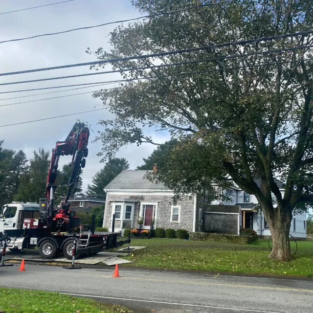 truck removes large tree in front of house