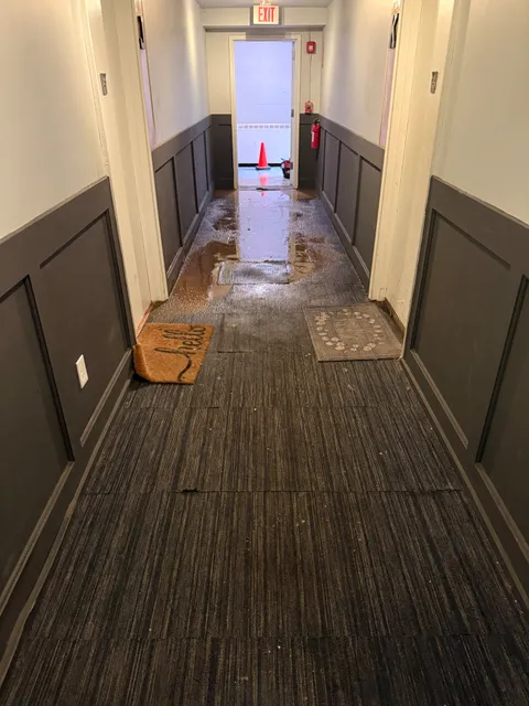 The call: water surfacing through the hallway floor of a Connecticut apartment building — classic sign of a failed underground drain line.