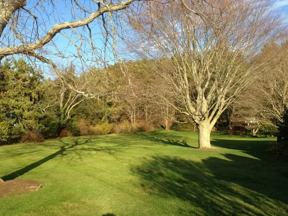 Landscape Service