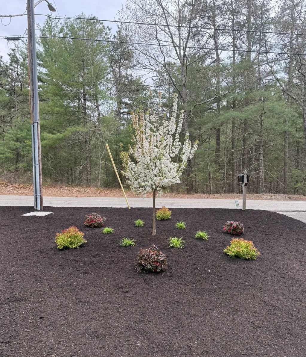 work photo from ajmlandscaping.net