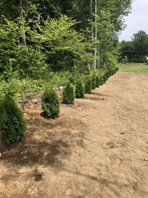 work photo from millertreeandlandscaping.com