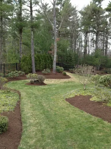 work photo from limaslandscape.com