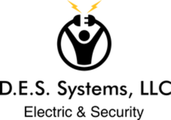 D.E.S. Systems, LLC logo