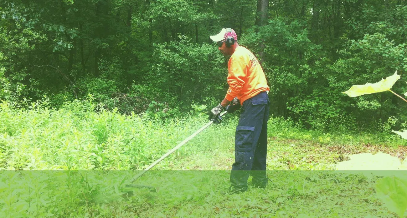 work photo from anfalandscaping.com