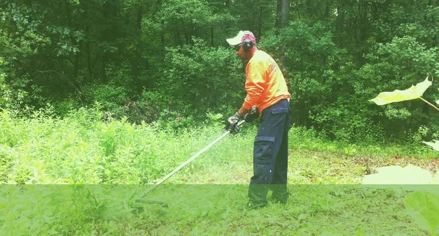 work photo from anfalandscaping.com