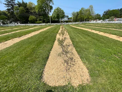 Precision Land Management of CT work photo