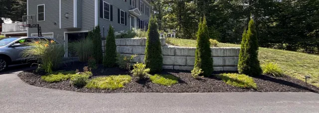 A landscaped front yard with evergreen shrubs, flowering plants, and layered stone retaining walls next to a gray house.