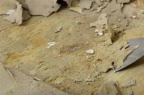Carpet Removal